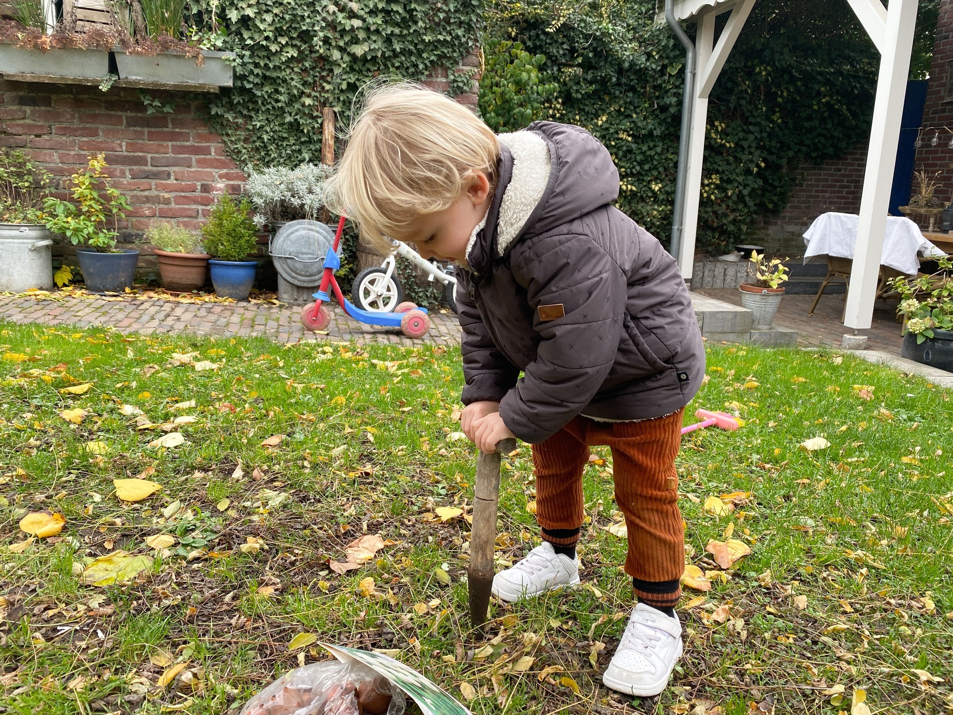 Kleinkind Junge im Garten